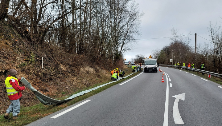 Sauvegarde des amphibiens à Mathay